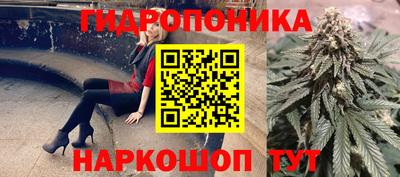 гидра Малгобек