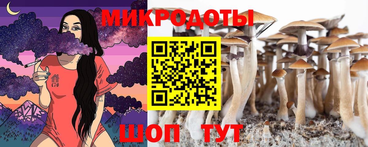 Галлюциногенные грибы GOLDEN TEACHER Железногорск