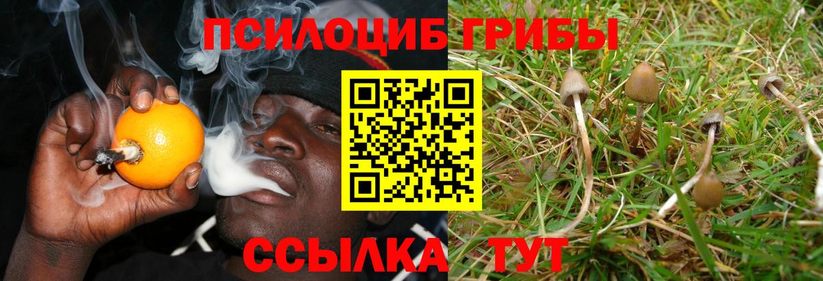 Галлюциногенные грибы Magic Shrooms  Псилоцибиновые грибы ЛСД  Железногорск  Вход с VPN 